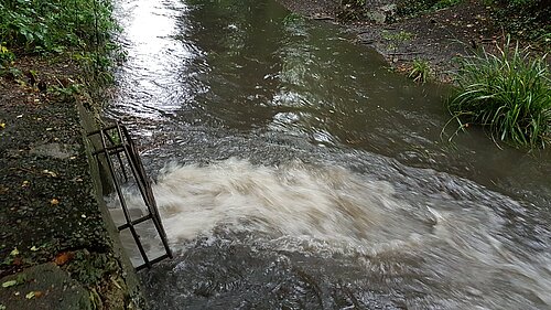 sewage discharge