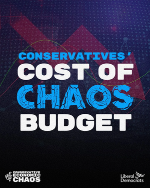 Image courtesy of Lib Dems chaos budget