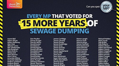 How MP's voted